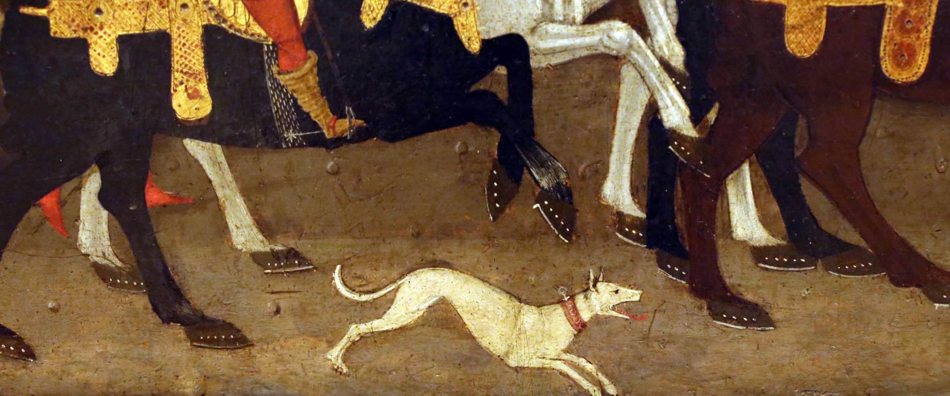Apollonio di giovanni, novella di griselda, 1440 ca. 04 cane foto di Sailko